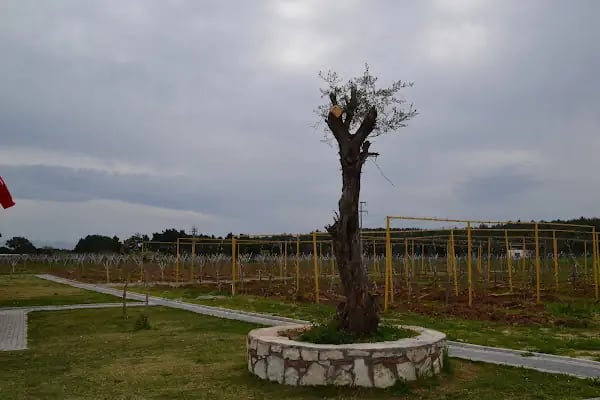 Taş Köprü Garden Kır Düğün Salonu - Resim 15