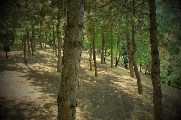 Seğmenler Parkı - Resim 10