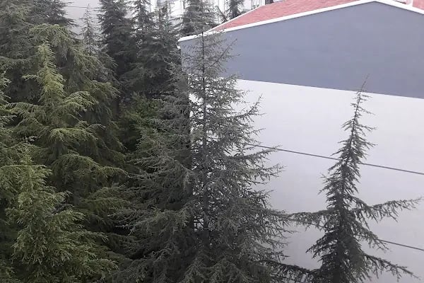 Altındağ Sitesi - Resim 3