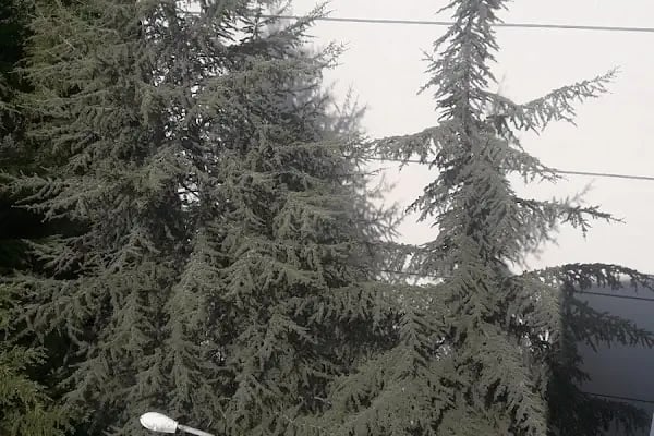 Altındağ Sitesi - Resim 12
