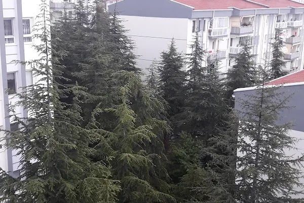 Altındağ Sitesi - Resim 17