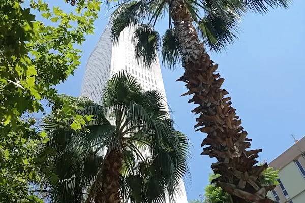 Taksim International Mersin - Resim 4