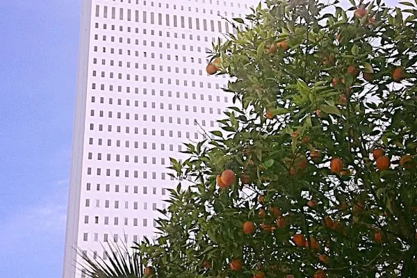 Taksim International Mersin - Resim 19