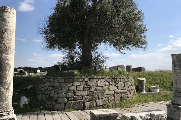 Zeus Asklepios Tapınağı - Resim 20