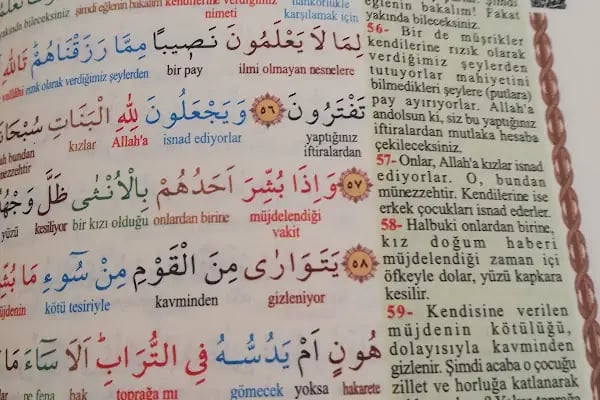 Helvacı Taş Fırını - Resim 14