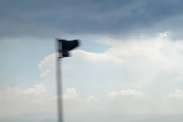 Sekbanlı Köyü Korusu - Resim 18
