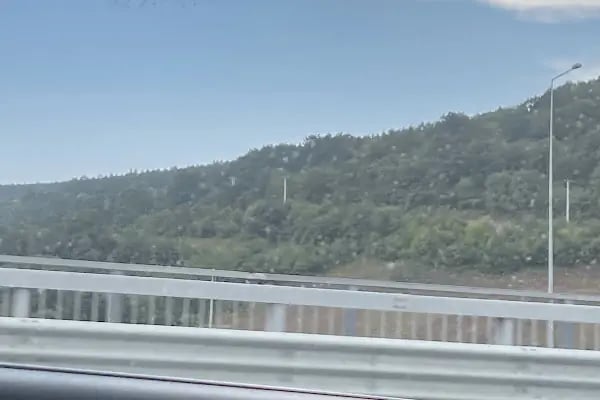 Sekbanlı Köyü Korusu - Resim 16