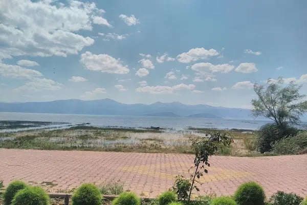 Tolca Tayat Balık Evi Restaurant - Resim 12