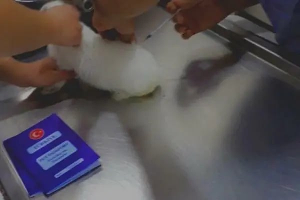 Güneşli Veteriner Polikliniği - Resim 20