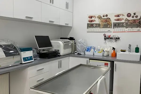 Güneşli Veteriner Polikliniği - Resim 2