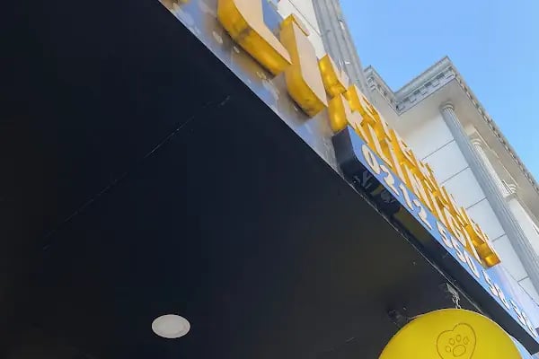 Güneşli Veteriner Polikliniği - Resim 17