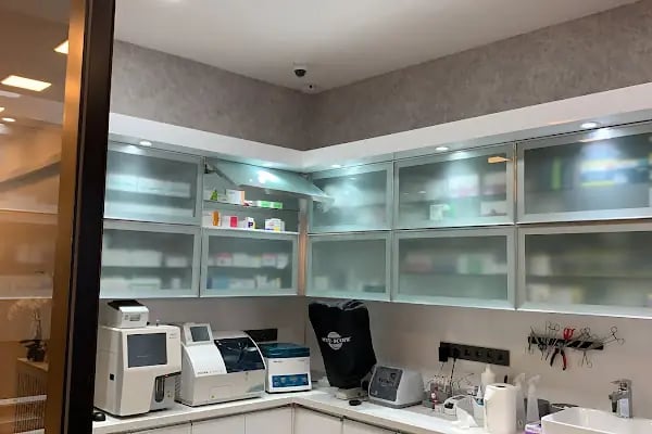 Güneşli Veteriner Polikliniği - Resim 4