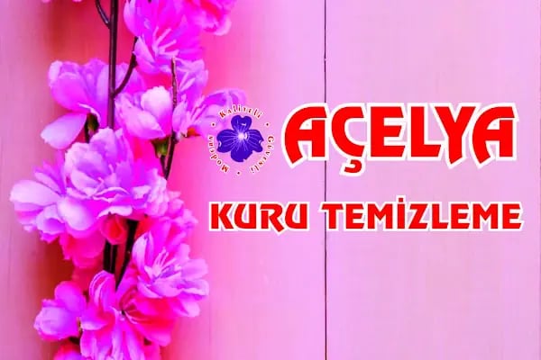 Açelya kuru temizleme - Resim 2