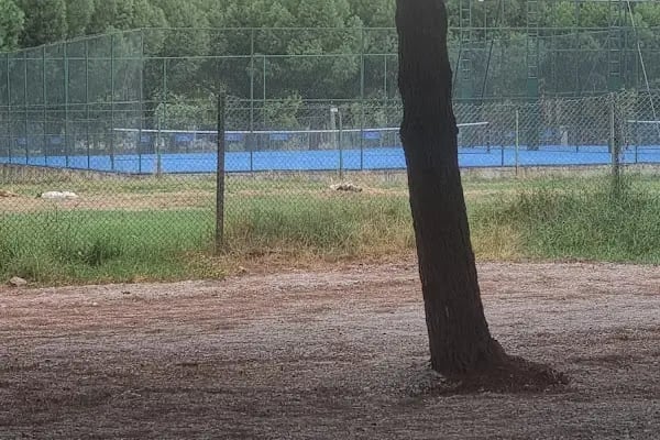 Akhisar Belediyesi Karavan Park Alanı - Resim 8