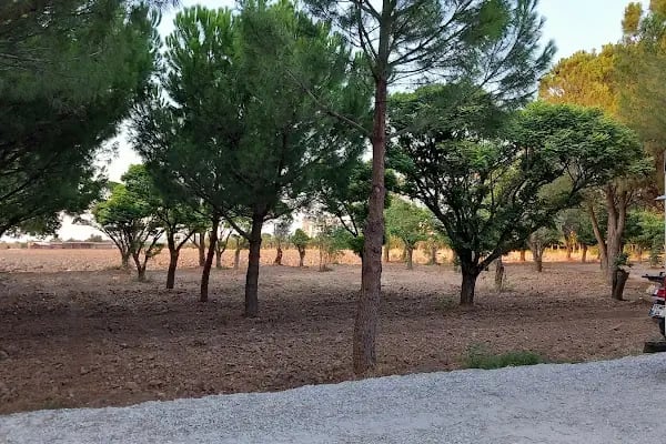 Akhisar Belediyesi Karavan Park Alanı - Resim 13