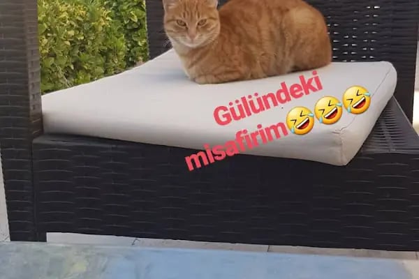 Kırçın Butik Pansiyon - Resim 14
