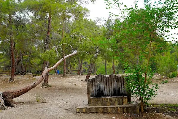 Kuyuluk Tabiat Parkı - Resim 2