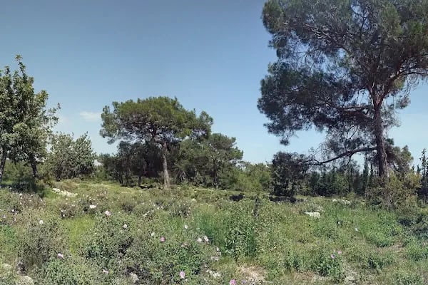 Kuyuluk Tabiat Parkı - Resim 18