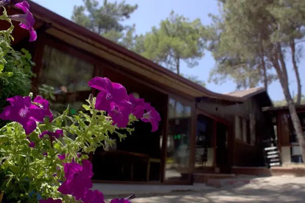 Kuyuluk Tabiat Parkı - Resim 12