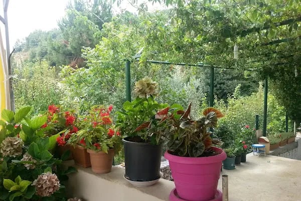 Kuyuluk Tabiat Parkı - Resim 16