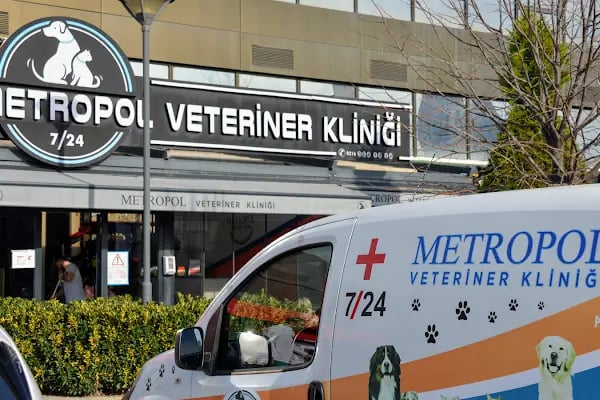 Ataşehir Metropol Veteriner Kliniği - Acil Nöbetçi Veteriner - Resim 9