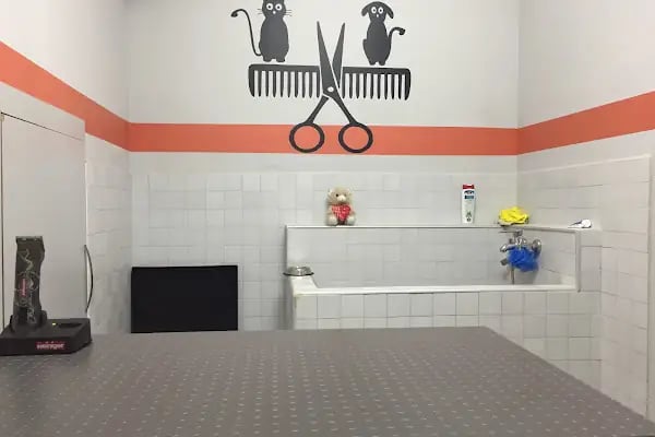 Ataşehir Metropol Veteriner Kliniği - Acil Nöbetçi Veteriner - Resim 10