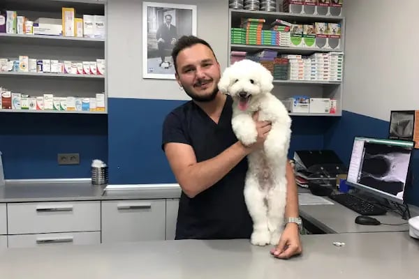 Ataşehir Metropol Veteriner Kliniği - Acil Nöbetçi Veteriner - Resim 4