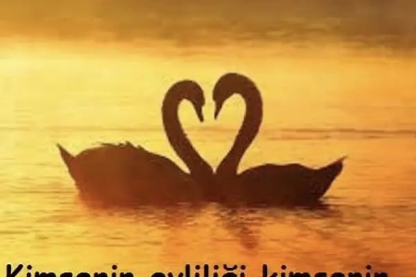 Konya Psikolog - OPTİMUM PSİKOLOJİ - Resim 9