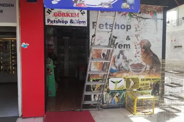 Ailem Pet Shop - Resim 9