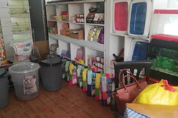 Ailem Pet Shop - Resim 4