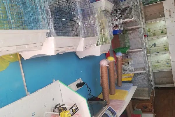 Ailem Pet Shop - Resim 3