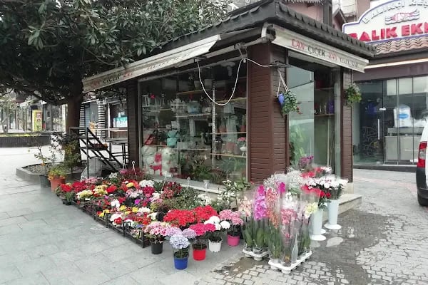Can Çiçek Evi | Altıparmak Çiçekci, Çarşamba Çiçekci, Çiçek Siparişi - Resim 4
