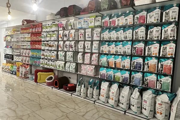 Veterica Güneşevler Veteriner Klinigi - Resim 5