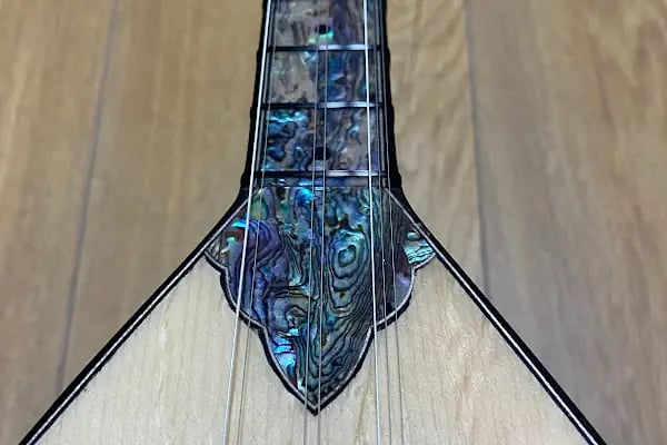 Barış Güngör Saz Evi - Resim 6