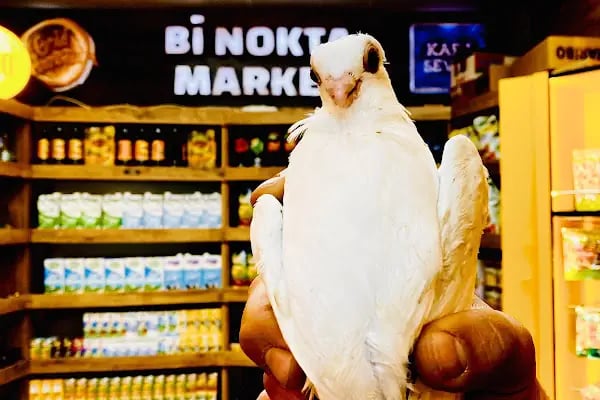 Bi Nokta Market - Resim 6