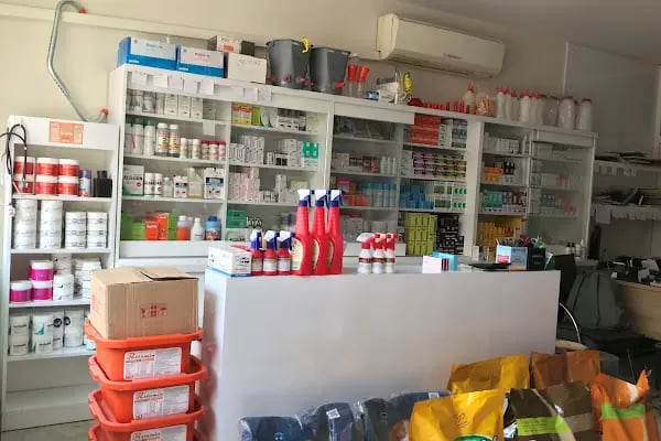 Elmalı Veteriner Kliniği - Resim 4
