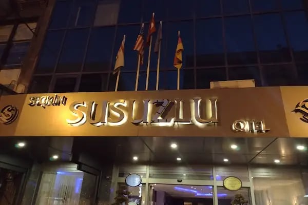 Susuzlu Seçkin - Resim 3