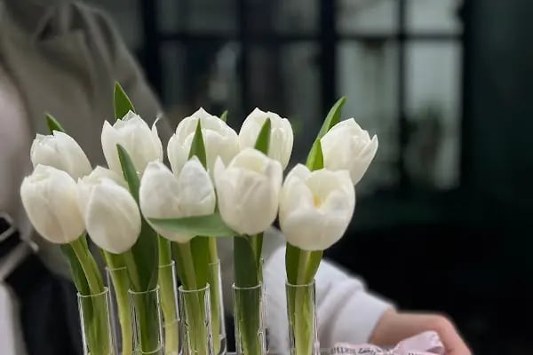 Laura Flowers Chocolate - Resim 16