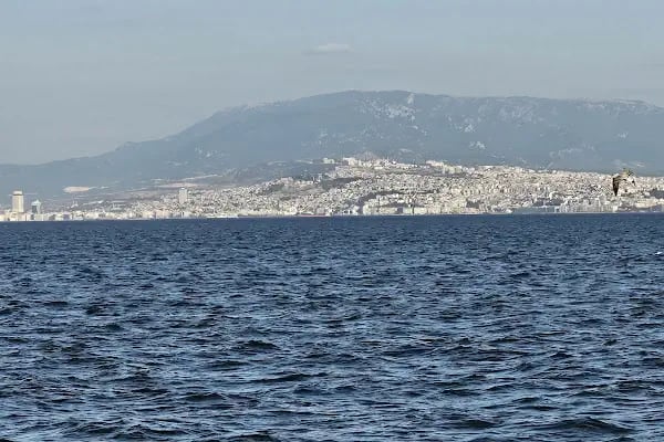 İnciraltı Liman tekne.......ÖZDİNÇ.... - Resim 3