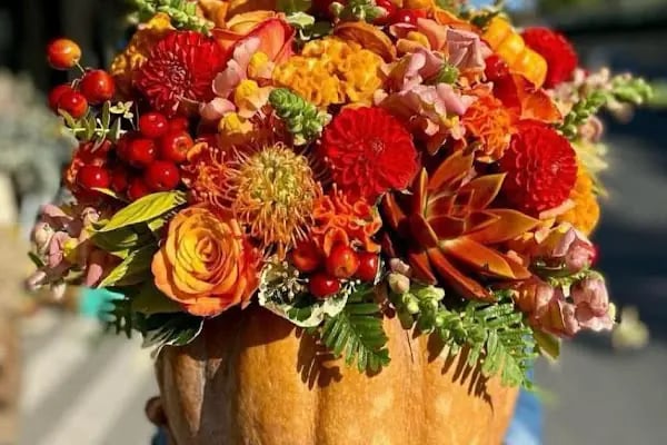 Belgraes Flowers - Resim 3