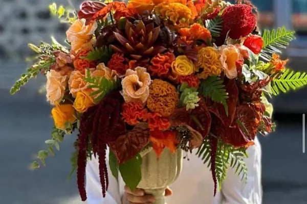Belgraes Flowers - Resim 11