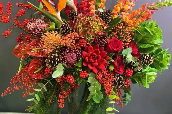 Belgraes Flowers - Resim 7
