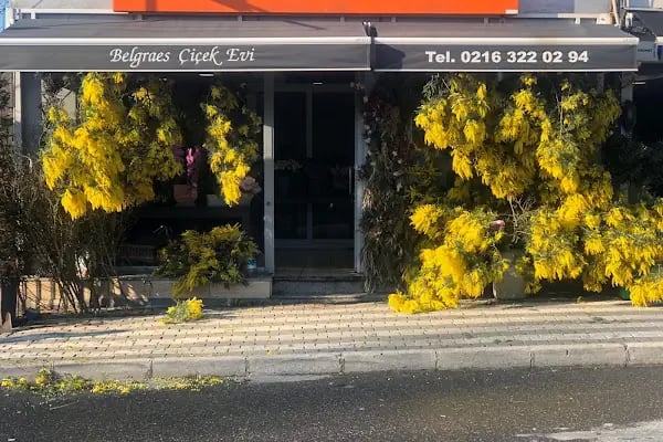 Belgraes Flowers - Resim 8