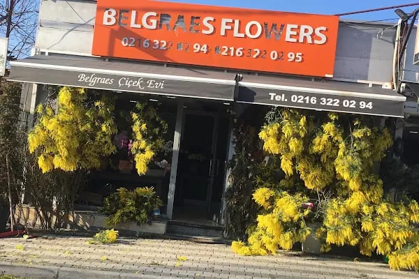 Belgraes Flowers - Resim 2