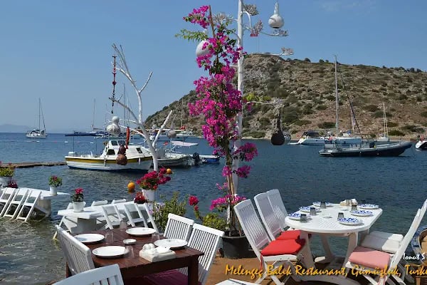 Melengeç Balık Restaurant - Resim 4