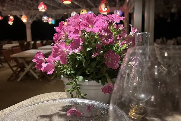 Melengeç Balık Restaurant - Resim 20