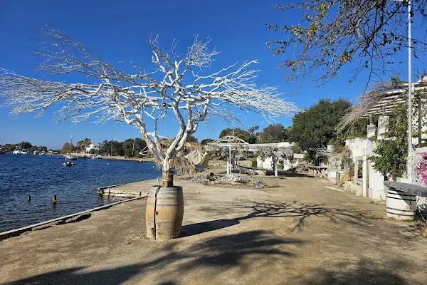 Melengeç Balık Restaurant - Resim 5