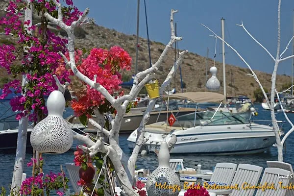 Melengeç Balık Restaurant - Resim 10