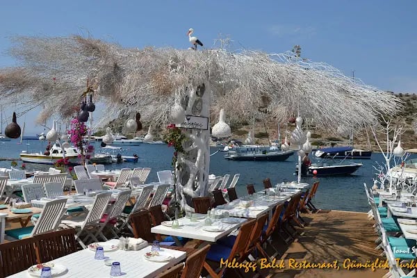 Melengeç Balık Restaurant - Resim 9