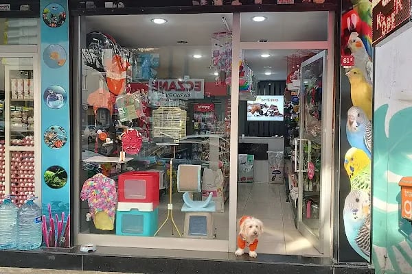 Zeyna Petshop - Resim 10